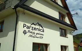 Pokoje Goscinne Pieninska Parzenica